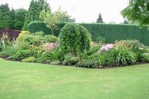 Impresa giardinaggio Torino