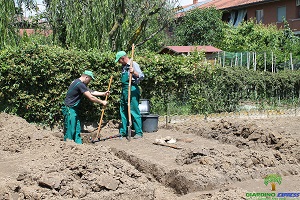 Impresa giardinaggio Torino