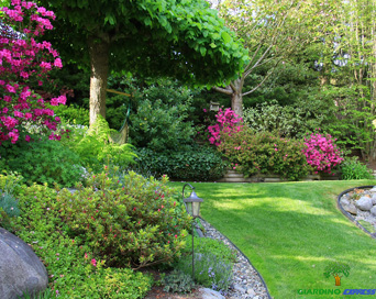 Realizzazione giardino Torino