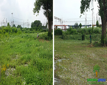 Manutenzione spazi verdi Torino