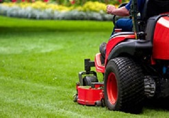 Manutenzione Giardini Torino