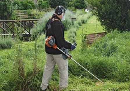 manutenzione spazi verdi a Torino
