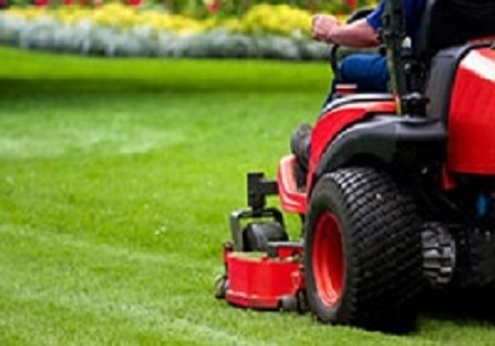 manutenzione spazi verdi Torino